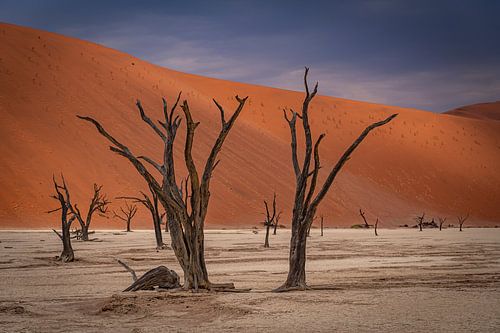 Deadvlei in Sossusvlei, Namibië