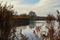 Dobbenplas  in colour