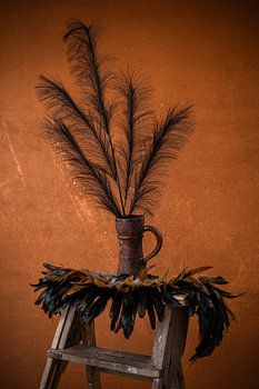 Stilleben schwarze Federn mit Federn