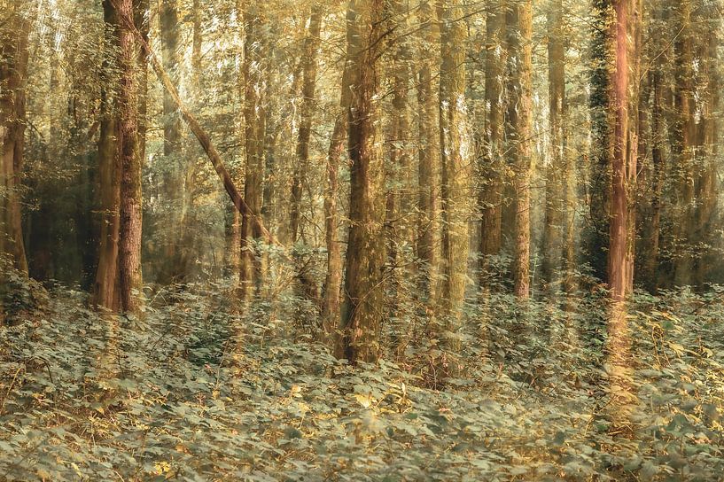 Duno estate part 25 by Tania Perneel