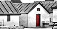 The red door
