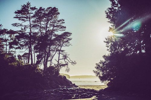 Tofino