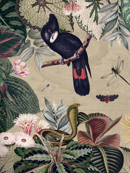 Exotischer schwarzer Kakadu in einem tropischen Dschungel von Floral Abstractions