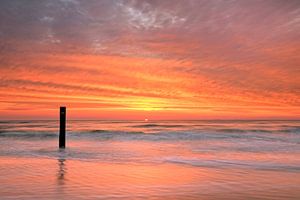 Côte de la mer du Nord de Texel