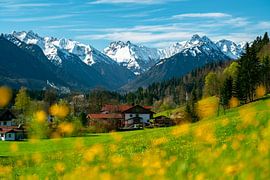 Spring in the Allgäu Valley by Leo Schindzielorz