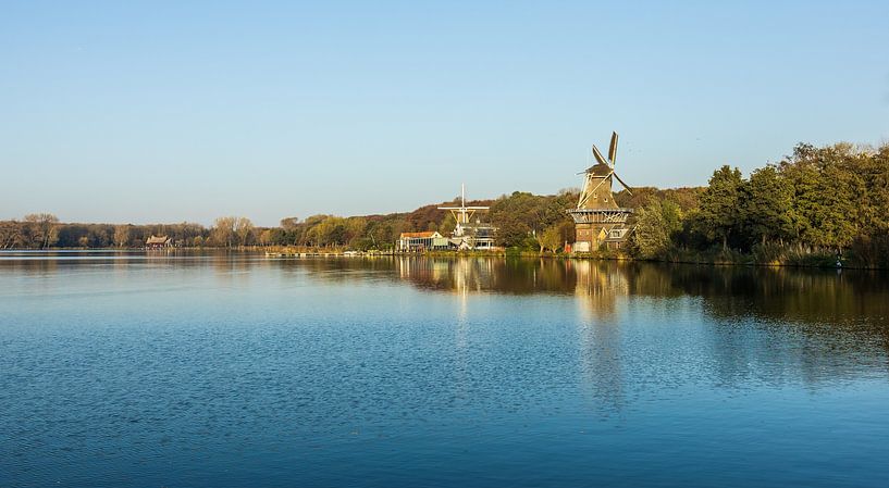 Nature in Rotterdam, Kralingse Bos by Olena Tselykh