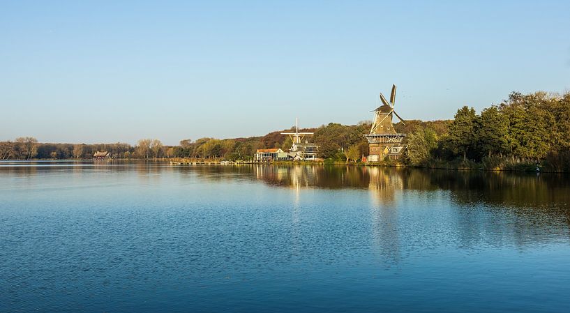 Natuur in Rotterdam, Kralingse Bos van Olena Tselykh