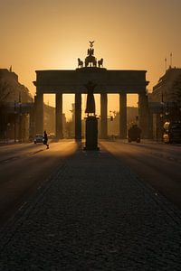 Moody morning lights