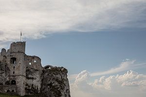 Le château d'ogrodzieniec en Pologne
