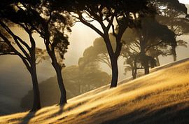 Morgennebel im Herbst