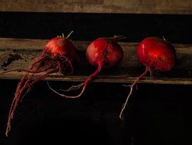 Three in a row by Miriam Meijer, en pleine campagne.....