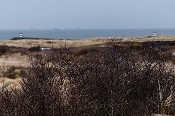 Havenhoofden vanuit het Westduinpark van Anne Zwagers