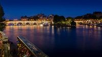 Ile de la Cité with Pont Neuf in Paris by night.