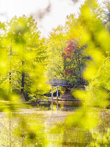 Brug in sprookjesachtige omgeving
