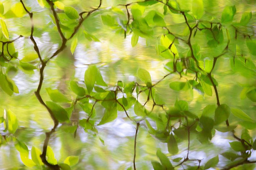 Reflexion von Patricia van Kuik
