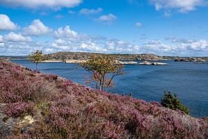 Blick auf die Insel Dyrön in Schweden