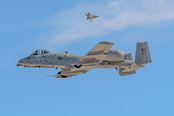 Fairchild Republic A-10 Thunderbolt II. van Jaap van den Berg