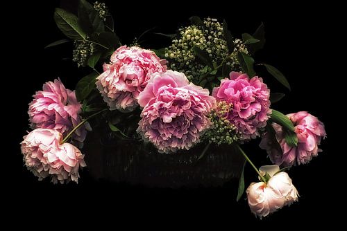 Imposante pivoine - Charm vintage