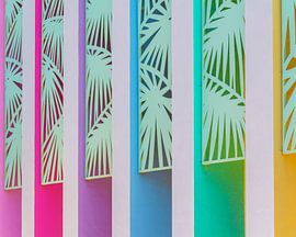 Regenbogenfarbene Wand im The Saguaro von Tom Windeknecht