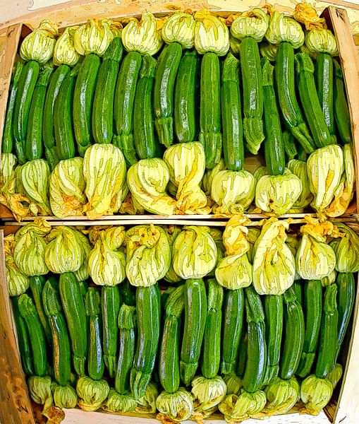 Zucchini by Leopold Brix