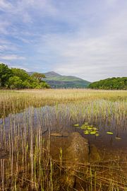 Killarney (Ireland) by Marcel Kerdijk