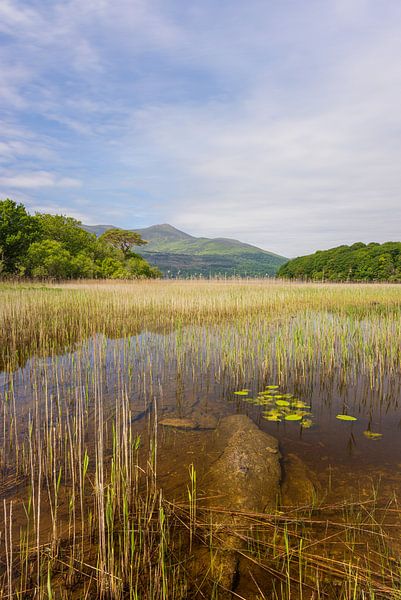Killarney (Ireland) by Marcel Kerdijk
