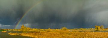 Regenbogen über dem Fluss IJssel von Sjoerd van der Wal Fotografie