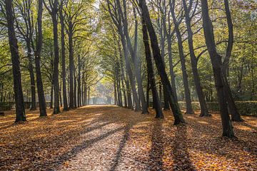 Sunny autumn day at Beeckestijn estate