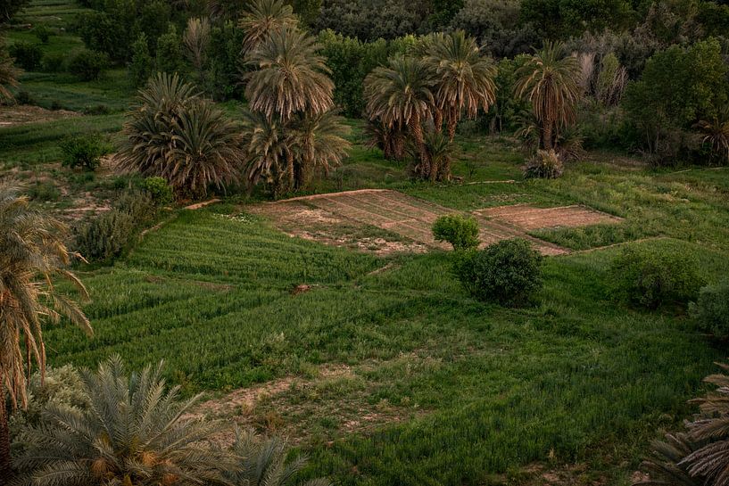Land in Marokko von S van Wezep