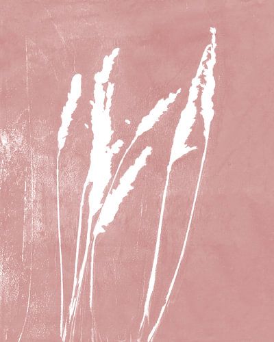 White  grass on warm retro red. Modern botanical minimalist art. by Dina Dankers