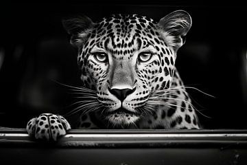 Leopard im Auto von BlackPeonyX