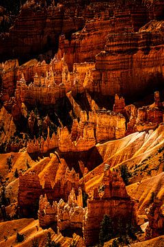 Hoodoos in Bryce Canyon National Park van Dieter Walther