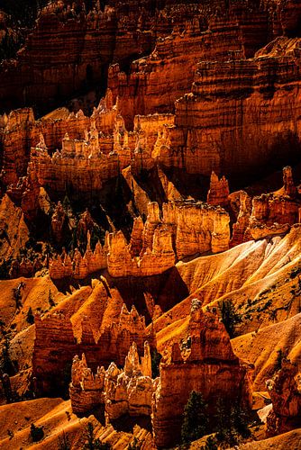 Hoodoos in Bryce Canyon National Park