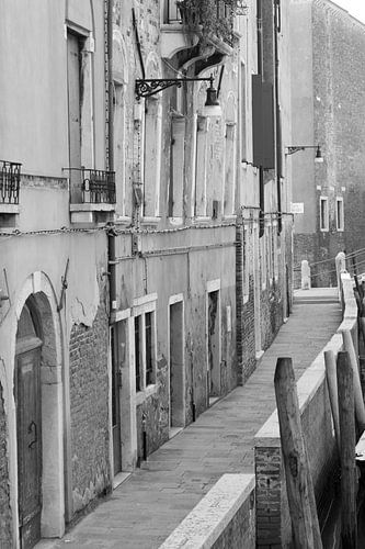 Venice by heidi borgart