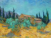 Holzhütten zwischen Olivenbäumen und Zypressen, Vincent van Gogh von Meesterlijcke Meesters Miniaturansicht