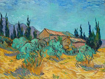 Cabanes en bois parmi les oliviers et les cyprès, Vincent van Gogh