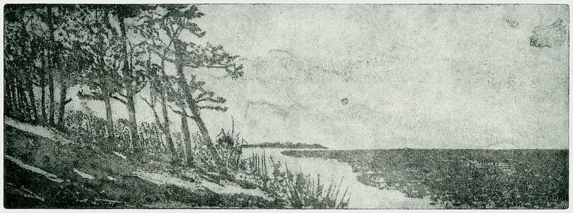 Zweedse kust, ets van Helga Pohlen - ThingArt