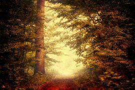 Breda Liesbos in de mist