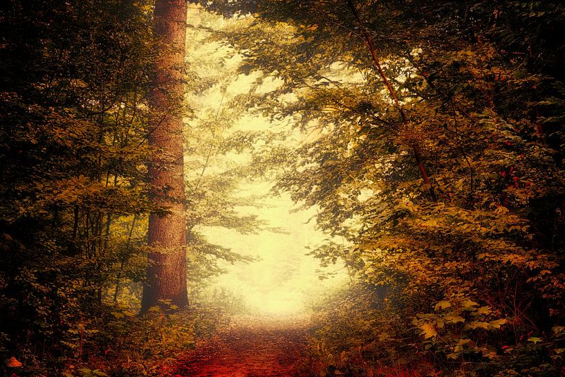 Breda Liesbos dans le brouillard par Egon Zitter
