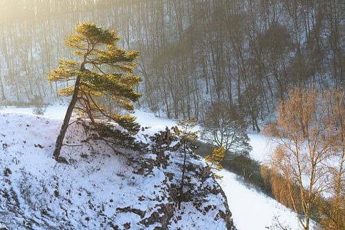 Neige sur le Jura souabe au lever du soleil avec une rivière dans la vallée. Petite vallée de la Lau