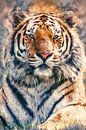 Eye of the tiger (kunst) van Art by Jeronimo thumbnail