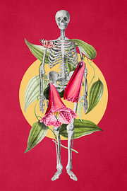 Mortal Flora
