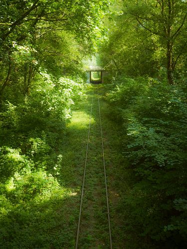 Verlaten spoorweg...
