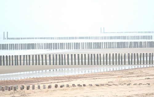 Paaltje paaltje paaltje in de mist