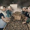 Muscheln sortieren [Anfang 1900] von Affect Fotografie