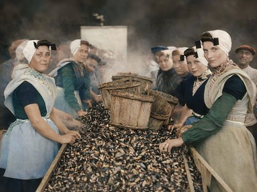 Muscheln sortieren [Anfang 1900]