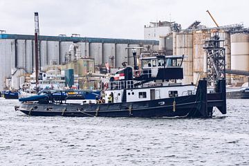 Pusher en cours dans le port brut d'Amsterdam sur scheepskijkerhavenfotografie