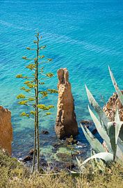 rocky needle at algarve coast, tourist resort Lagos, by SusaZoom