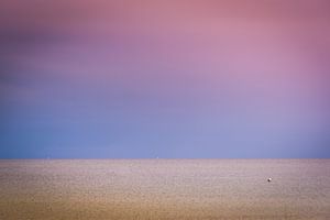Early morning sail boats
