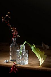 Still life 'Nature morte' by Willy Sengers